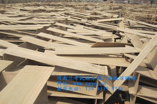 誠(chéng)招琵琶代理 河南蘭考民族樂(lè)器廠產(chǎn)品詳情及合作機(jī)會(huì)