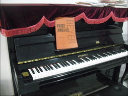 廣漢魅樂琴藝 一站式樂器零售與音樂夢想的啟航地