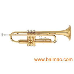 專業(yè)樂器供應(yīng) 批發(fā)零售全新原裝正品雅馬哈、卡西歐、美德理、羅蘭電子琴