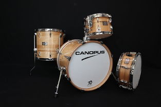 日本打擊樂器代購指南 價格、二手市場與購買渠道全解析