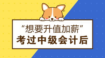 考過中級會計后職業發展 從事拍賣業務的機遇與工資前景